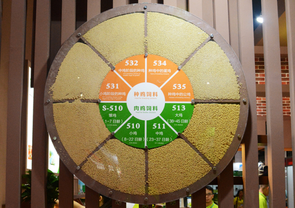 BG大游(中国)唯一官方网站