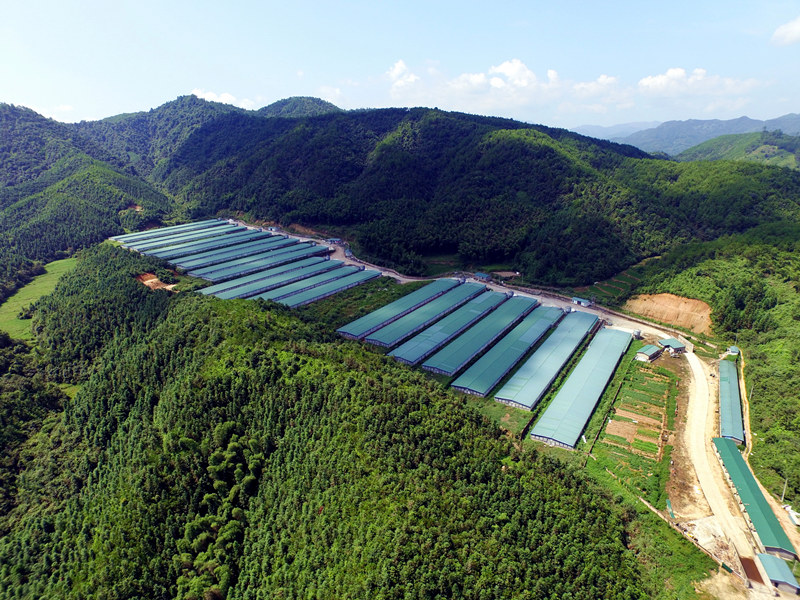 BG大游(中国)唯一官方网站