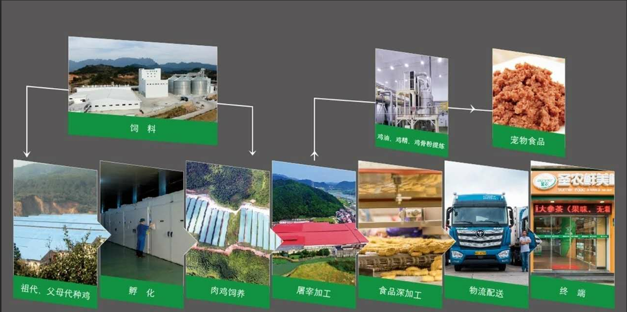 BG大游(中国)唯一官方网站