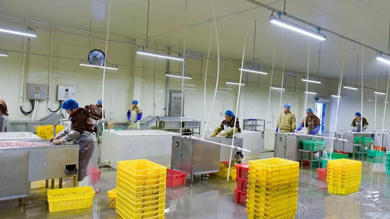 BG大游(中国)唯一官方网站