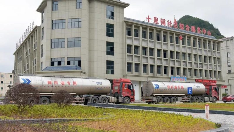 BG大游(中国)唯一官方网站