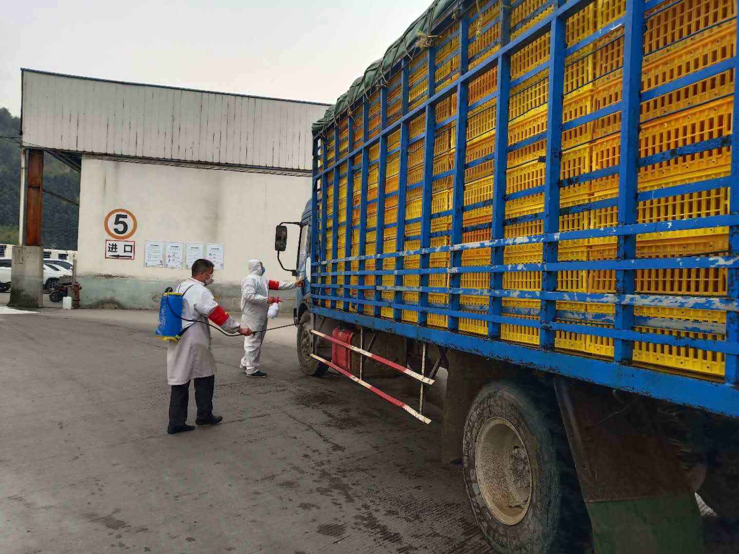 BG大游(中国)唯一官方网站