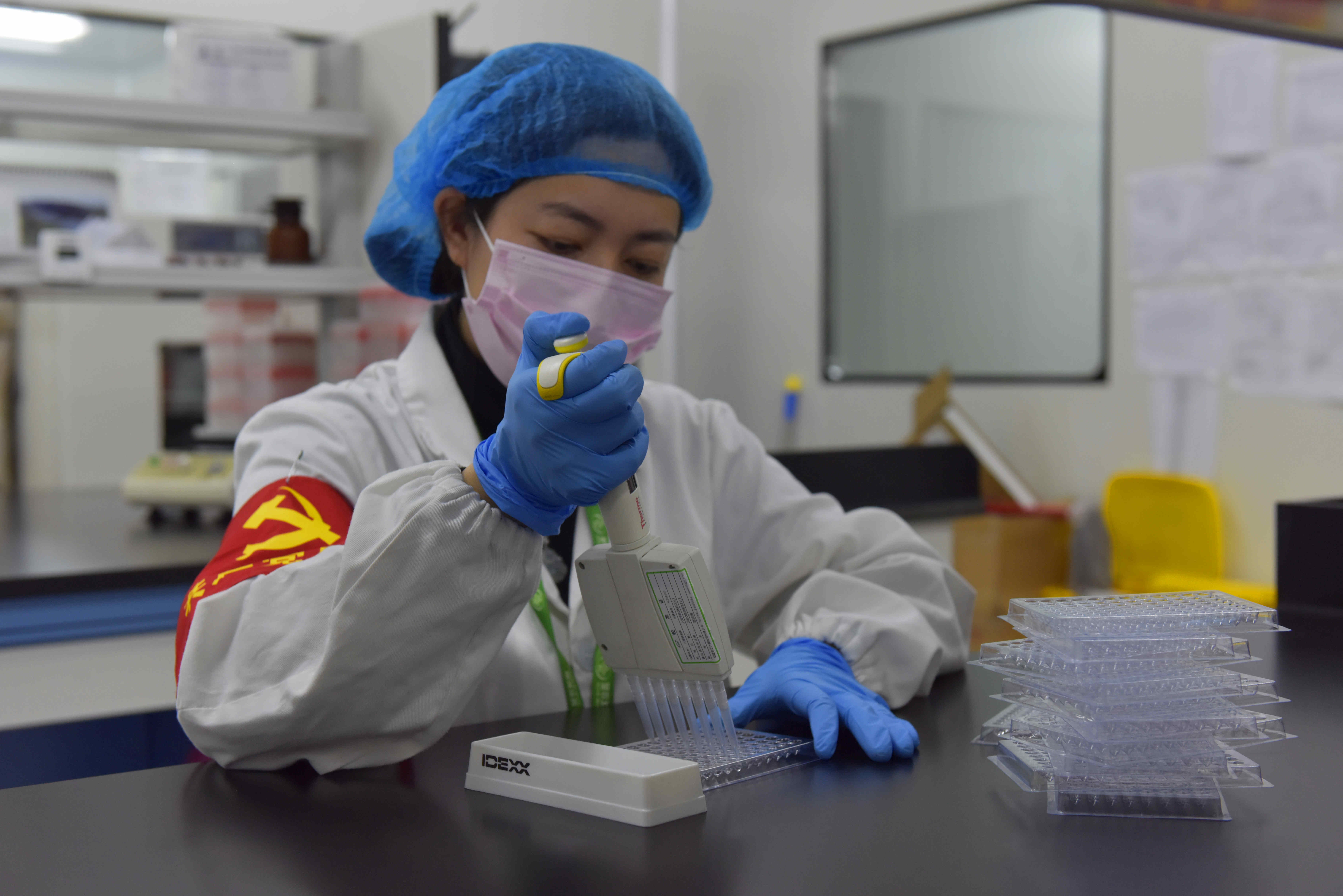 BG大游(中国)唯一官方网站