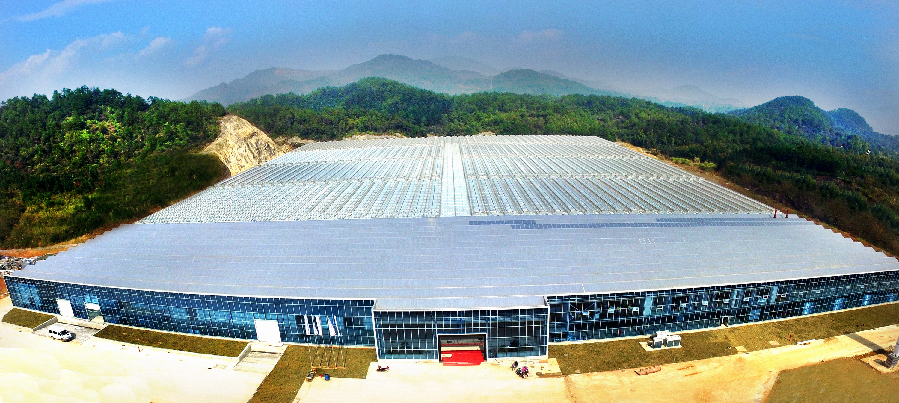 福建丰bg大游业有限公司