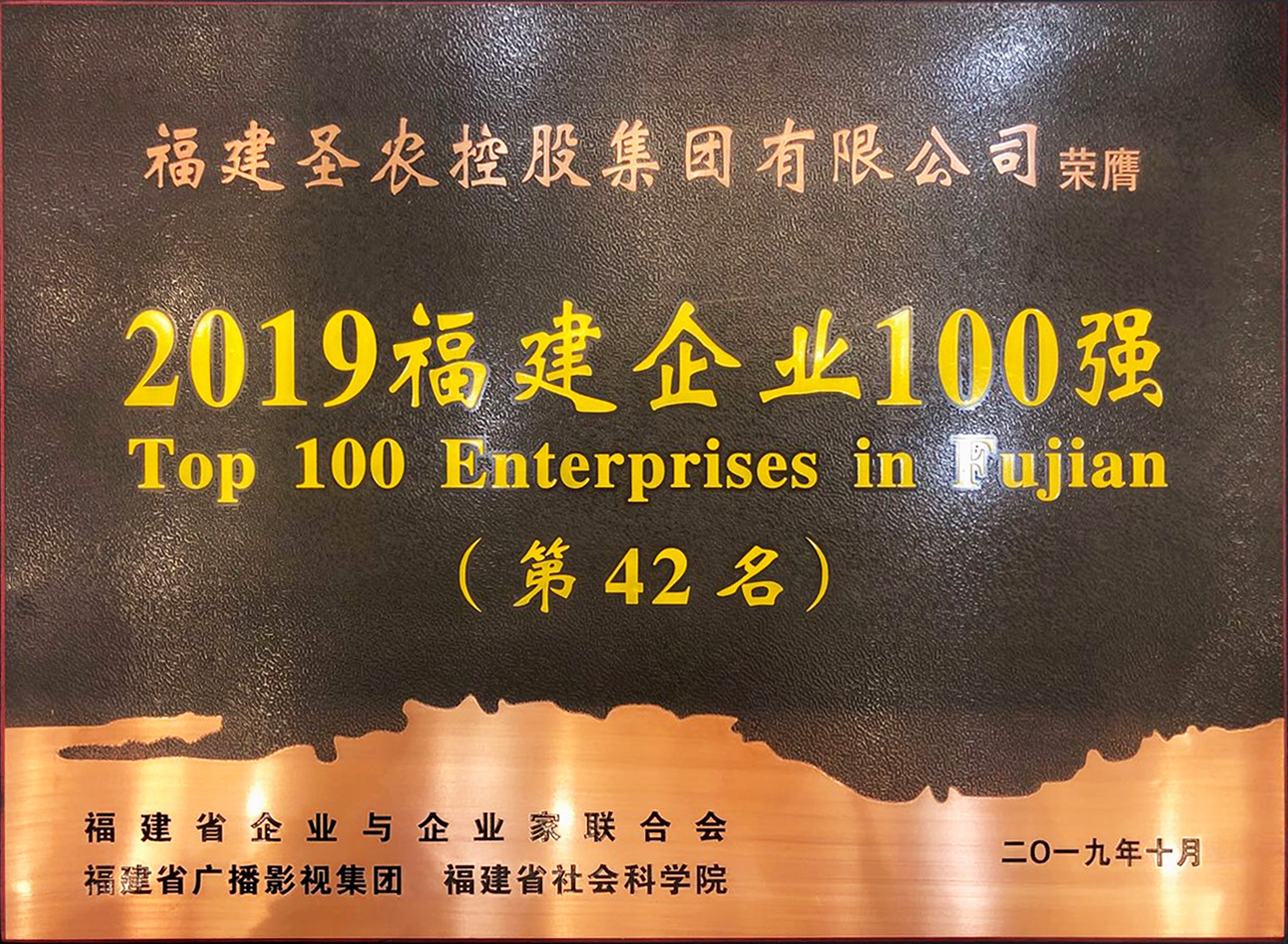 2019（bg大游集团）福建企业100强