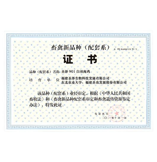 种业攻坚_自主育种_bg大游集团