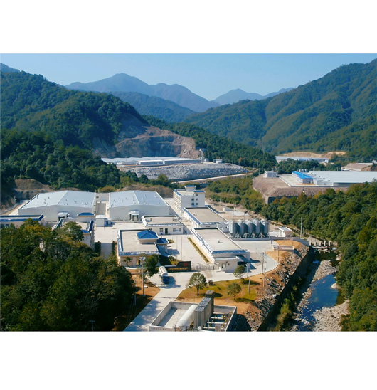 种业攻坚_自主育种_bg大游集团
